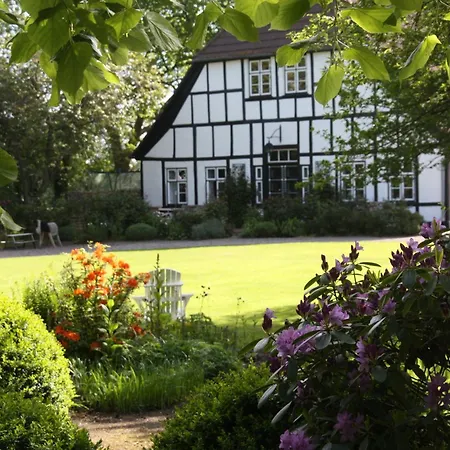 Apartamento Muschelkorb *